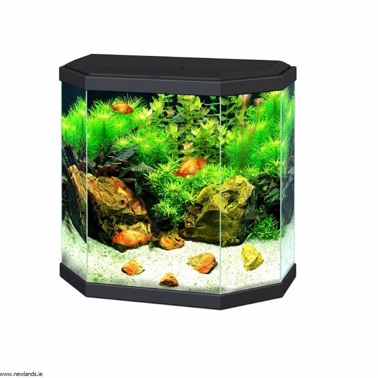 aqua 30 led fish tank